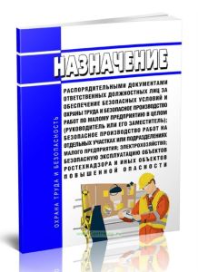 Назначение распорядительными документами ответственных должностных лиц за обеспечение безопасных условий и охраны труда и безопасное производство работ по малому предприятию в целом (руководитель или его заместитель)