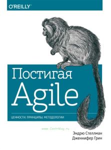 Постигая Agile: ценности, принципы, методологии
