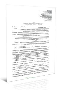 Акт проверки обеспечения условий хранения (сохранности) оружия и патронов