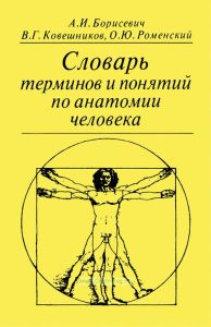 Словарь терминов и понятий по анатомии человека