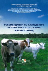 Рекомендации по разведению крупного рогатого скота мясных пород